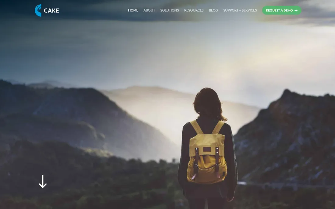 CAKE homepage
