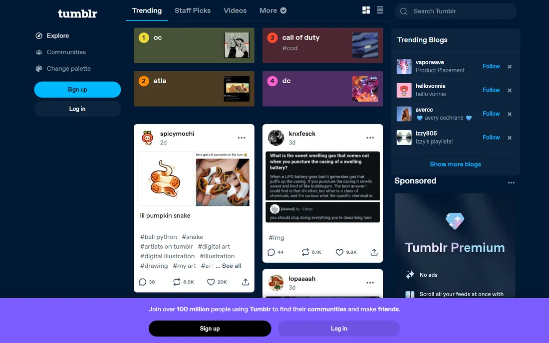Tumblr homepage
