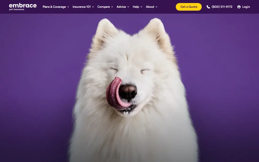Embrace homepage