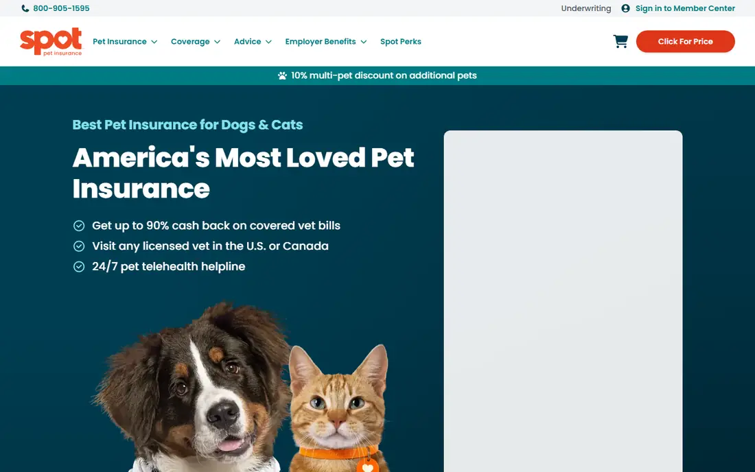 Spot homepage