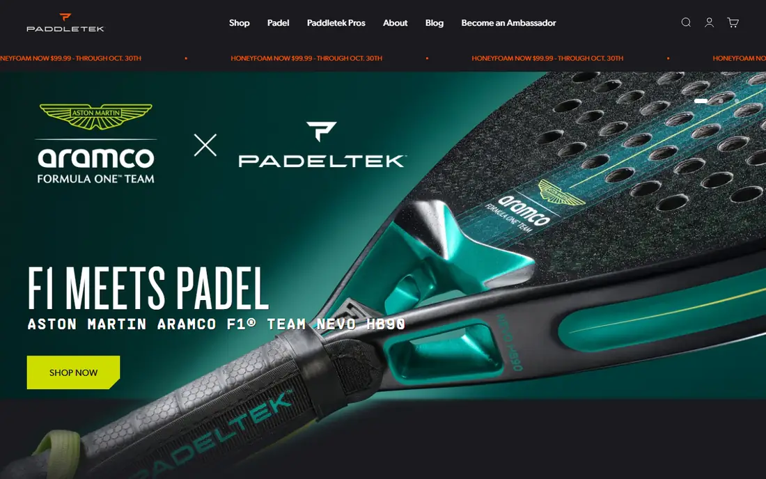 Paddletek homepage