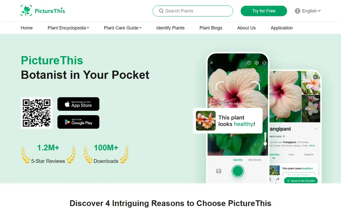PictureThis homepage
