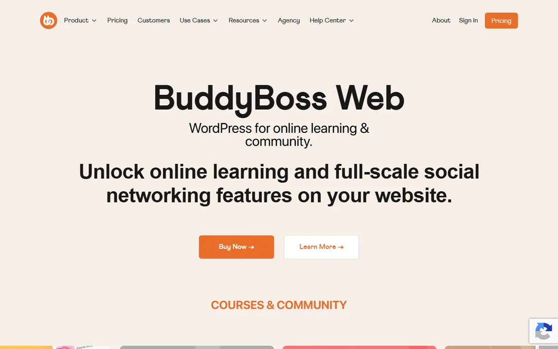 BuddyBoss homepage