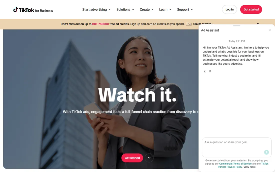 TikTok Ads homepage