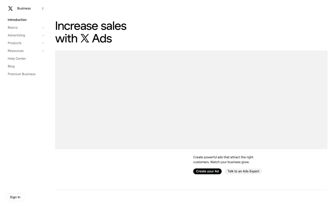 X Ads homepage