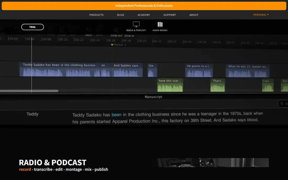 Hindenburg PRO homepage