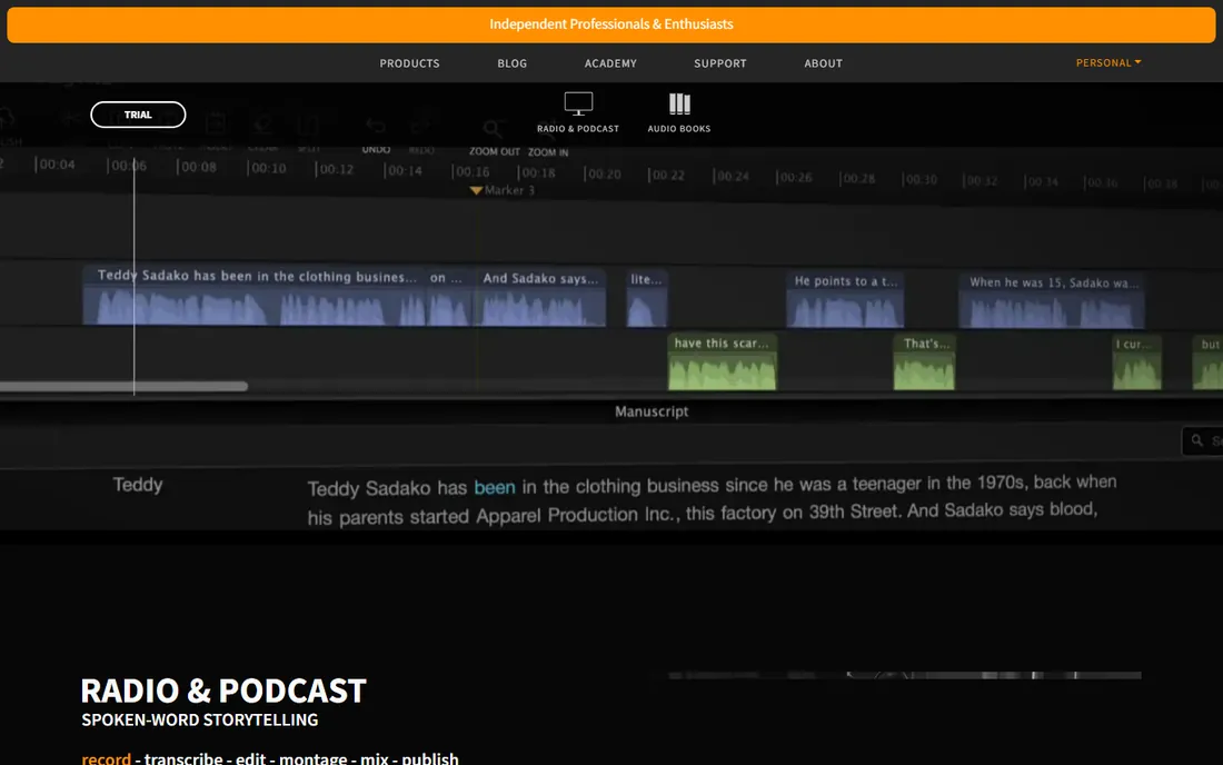 Hindenburg PRO homepage