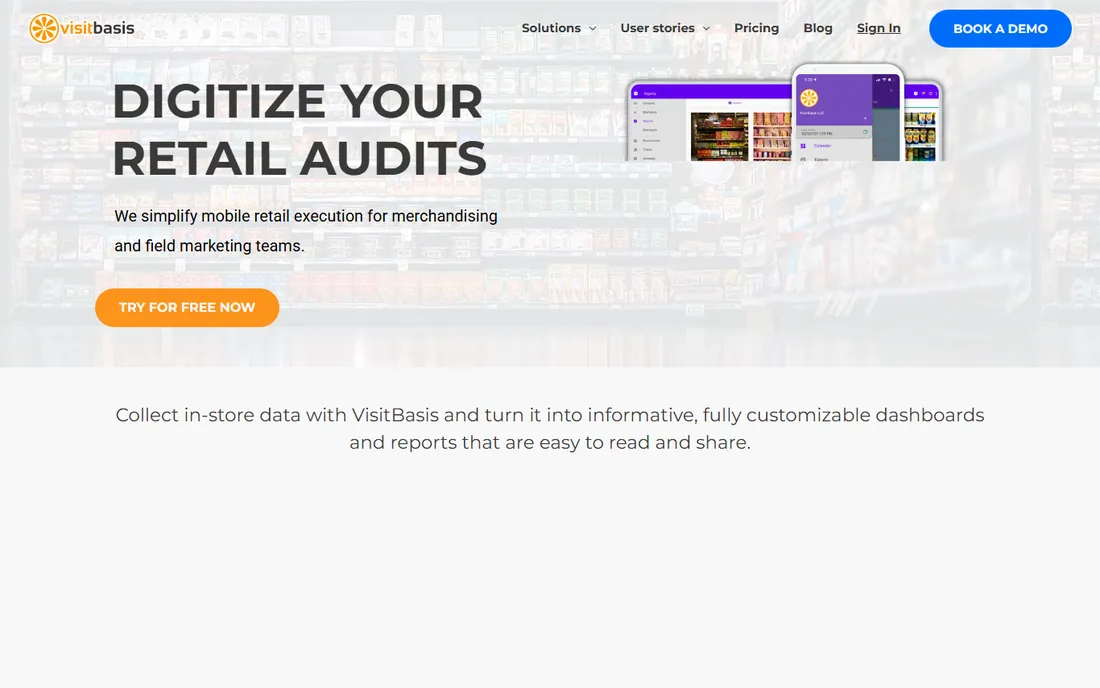 VisitBasis homepage