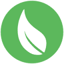 EHS Insight logo