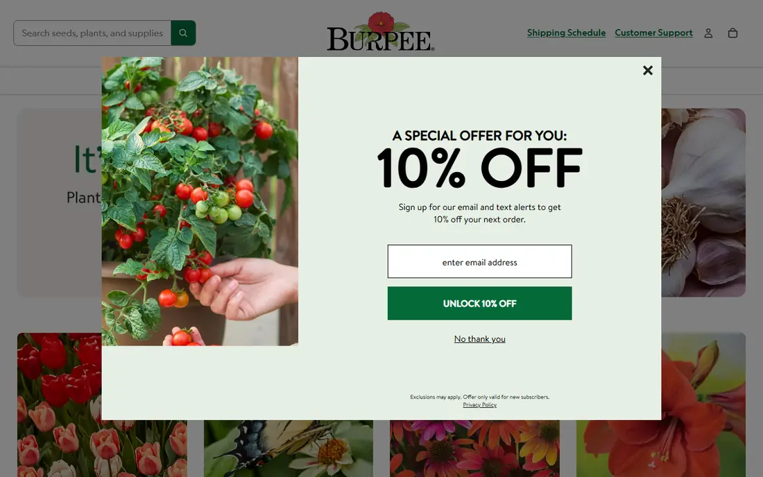 Burpee homepage