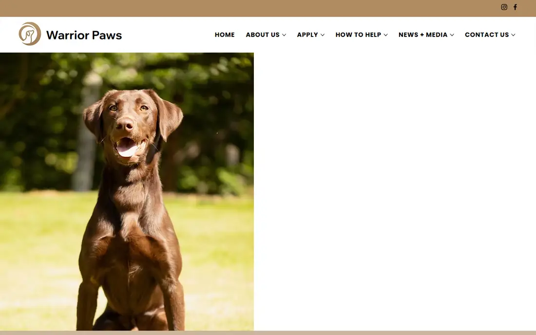 Warrior Paws homepage