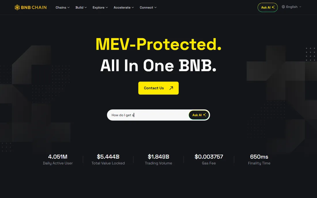 BNB Chain homepage