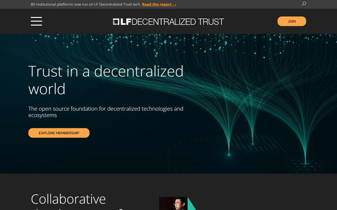 Hyperledger Fabric homepage