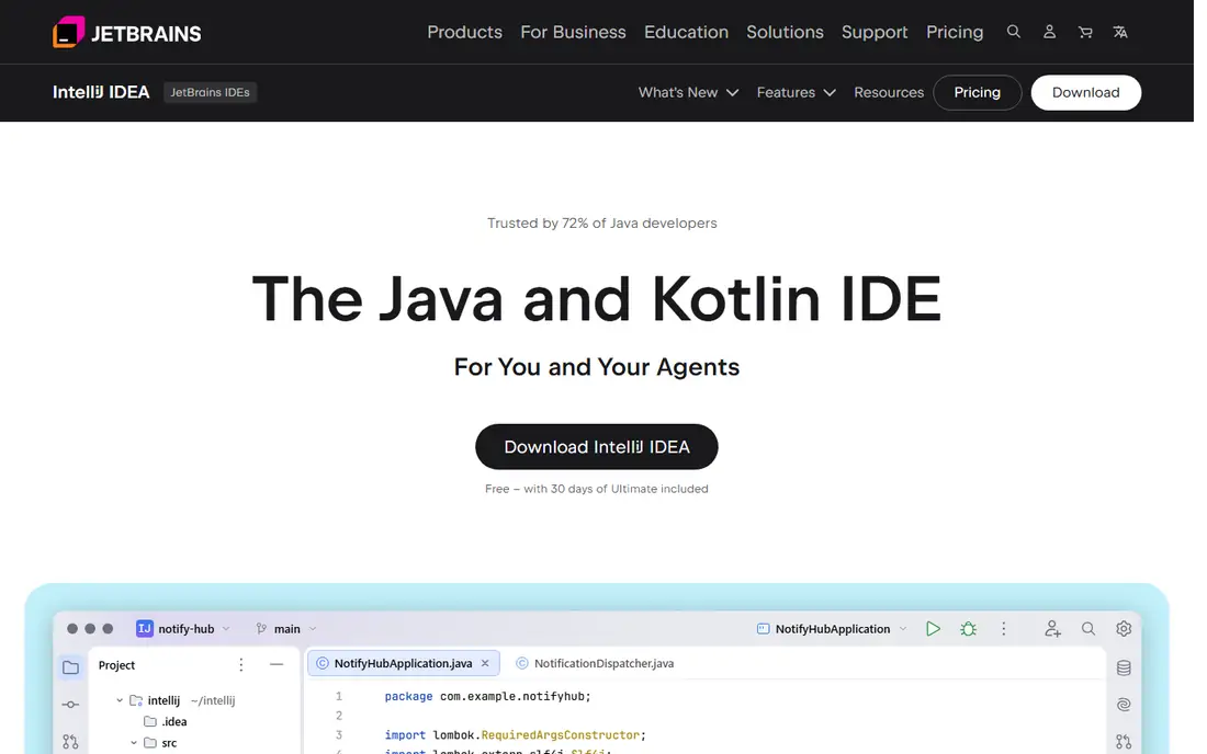 IntelliJ IDEA homepage