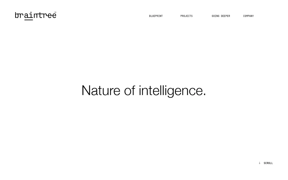 Braintree homepage