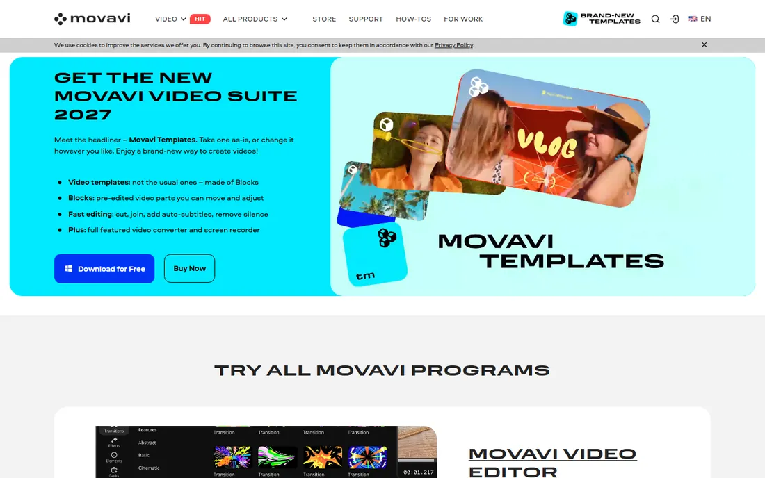 Movavi Video Converter homepage
