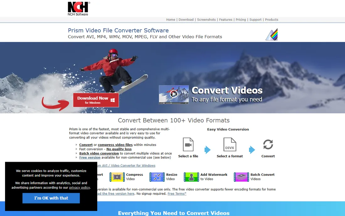 Prism Video Converter homepage