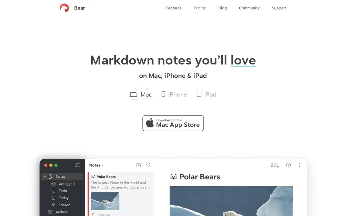 Bear homepage