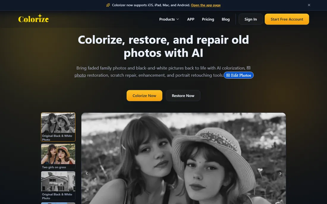 ImageColorizer homepage