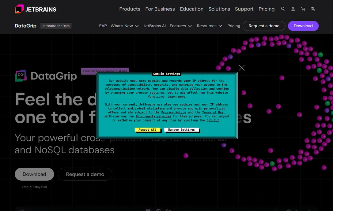 DataGrip homepage