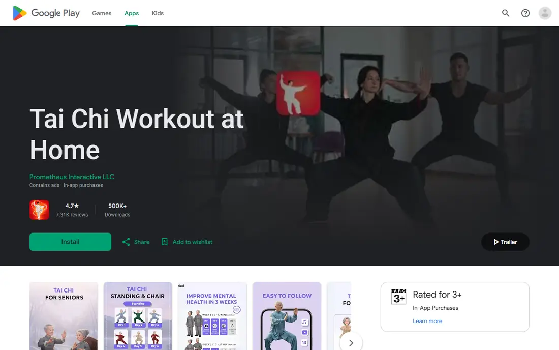 Tai Chi Workout at Home homepage