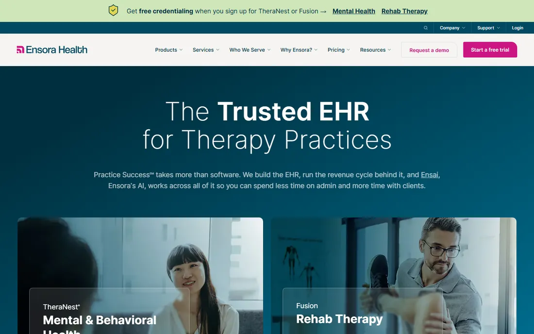 TheraNest homepage