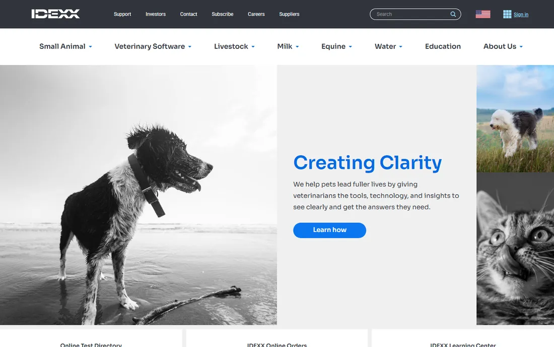 IDEXX Cornerstone homepage