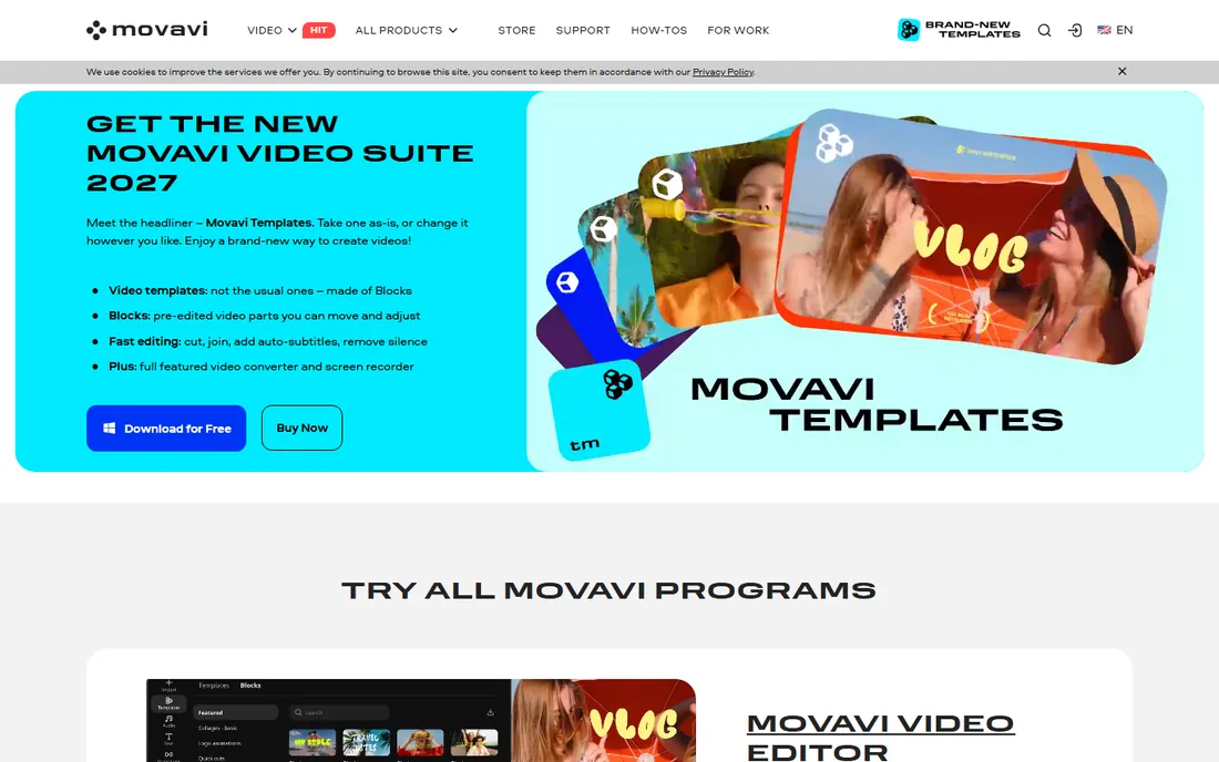 Movavi Video Converter homepage