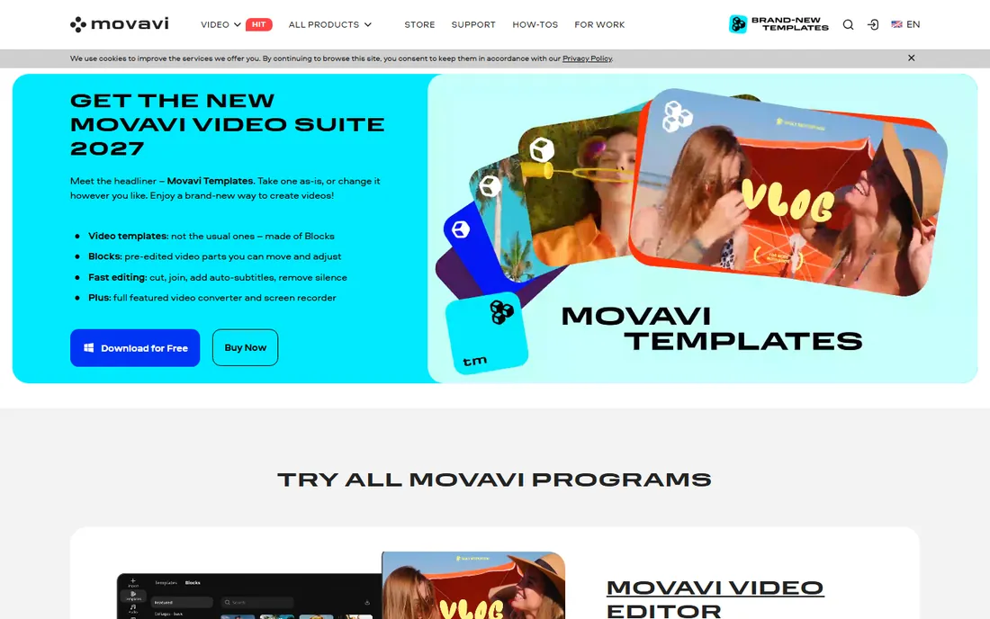 Movavi Video Converter homepage