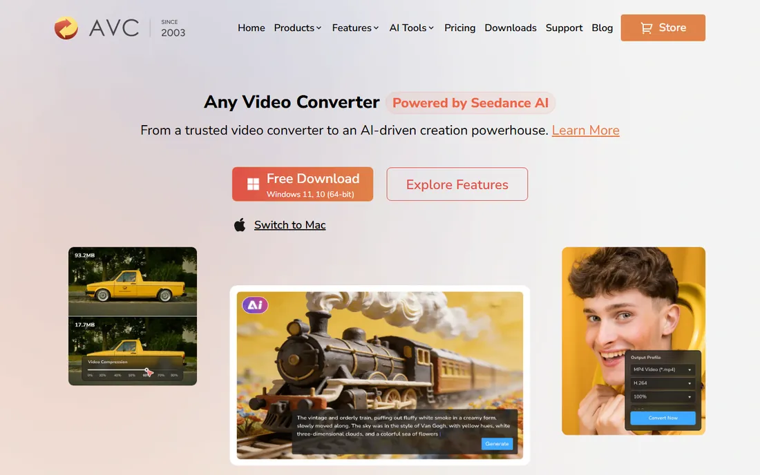 Any Video Converter homepage
