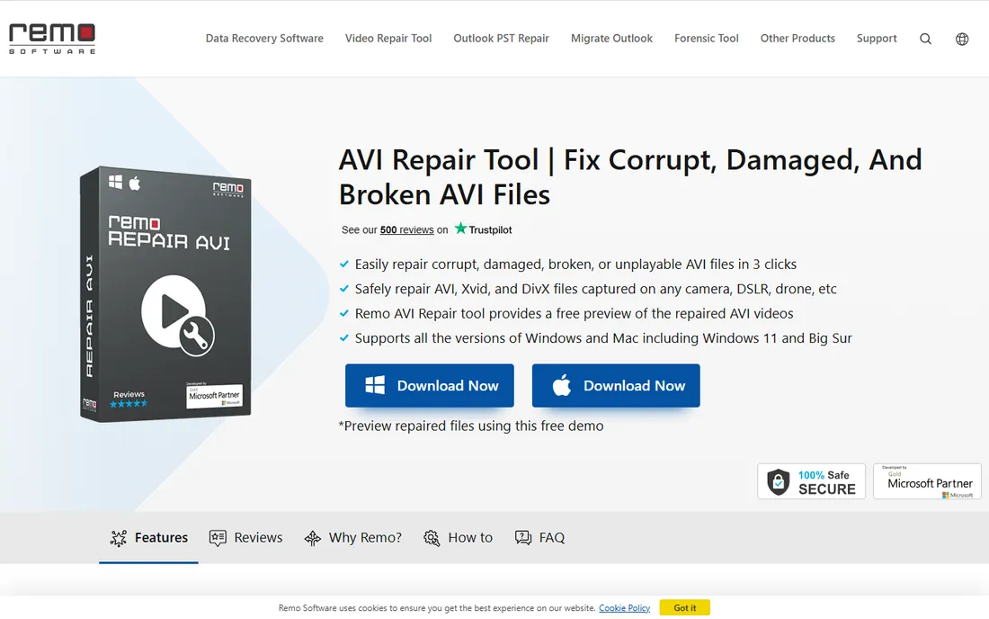 Remo Repair AVI homepage