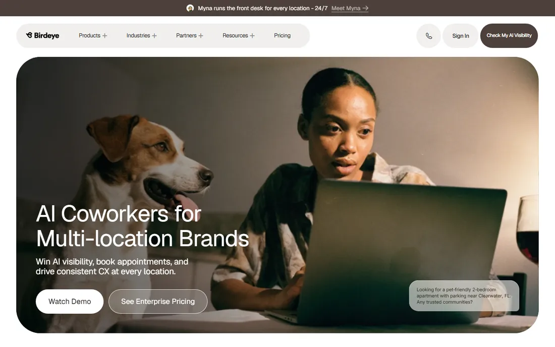 Birdeye homepage