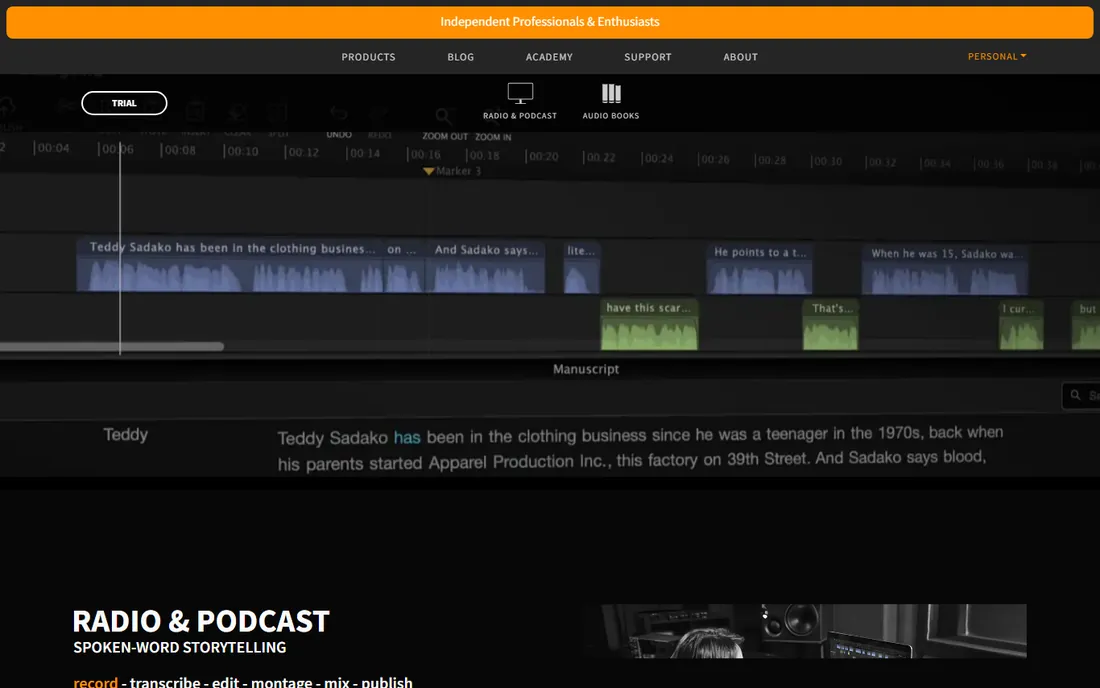 Hindenburg PRO homepage