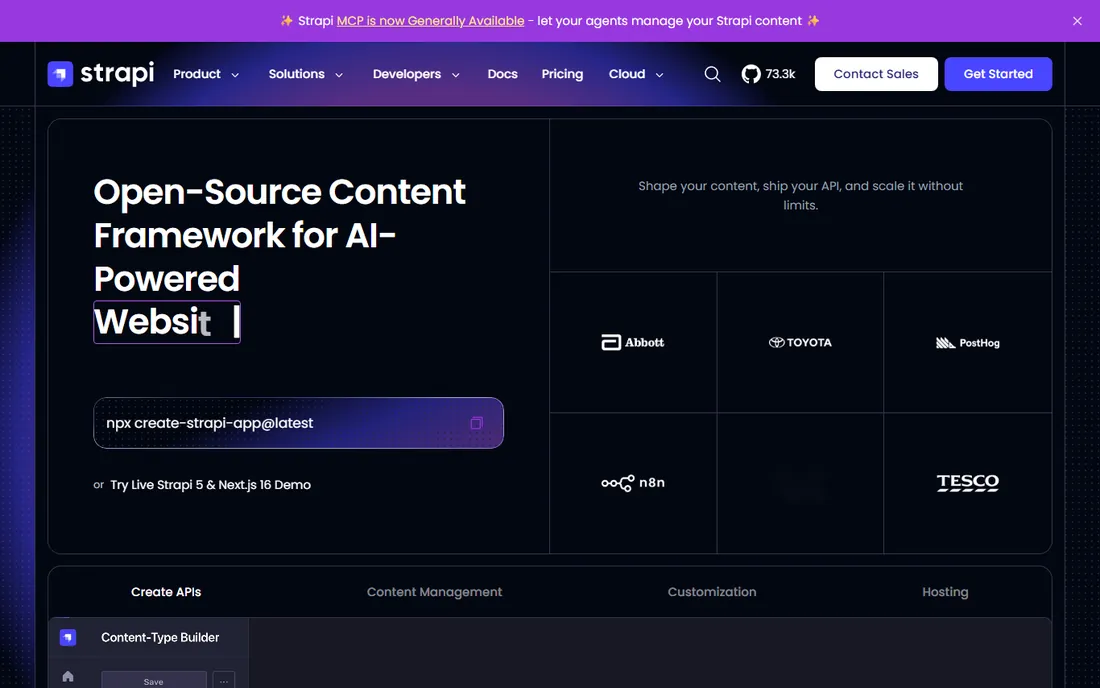 Strapi homepage