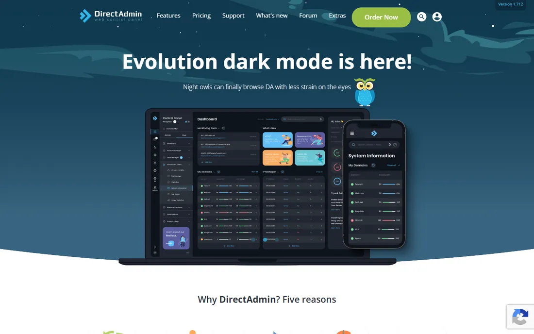 DirectAdmin homepage