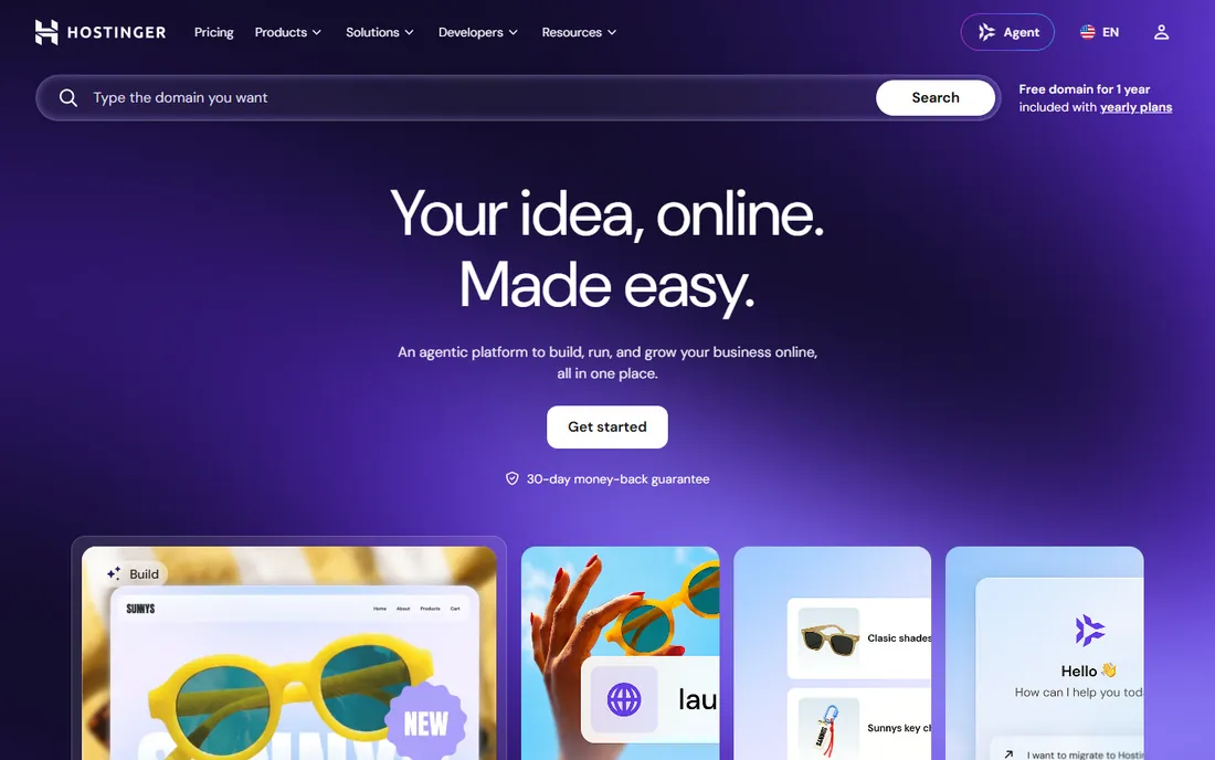 Hostinger homepage
