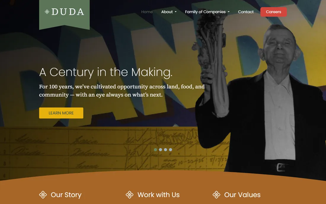 Duda homepage