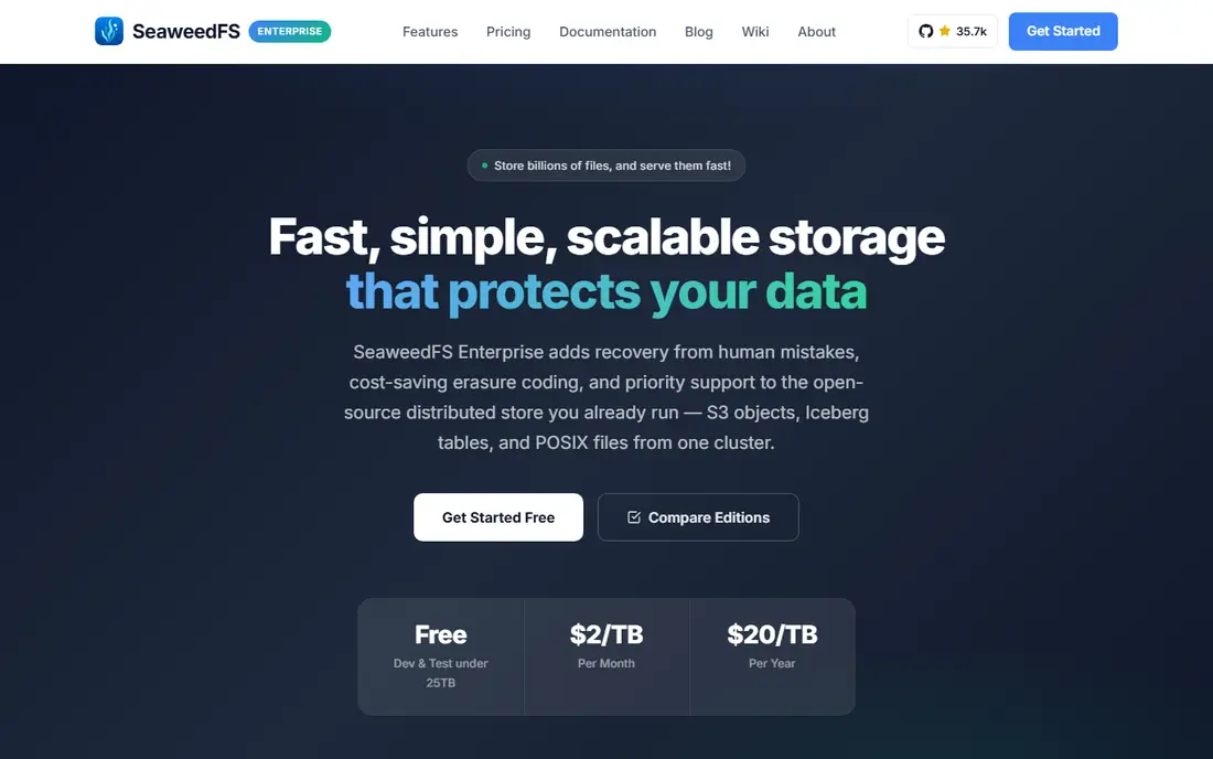 SeaweedFS homepage