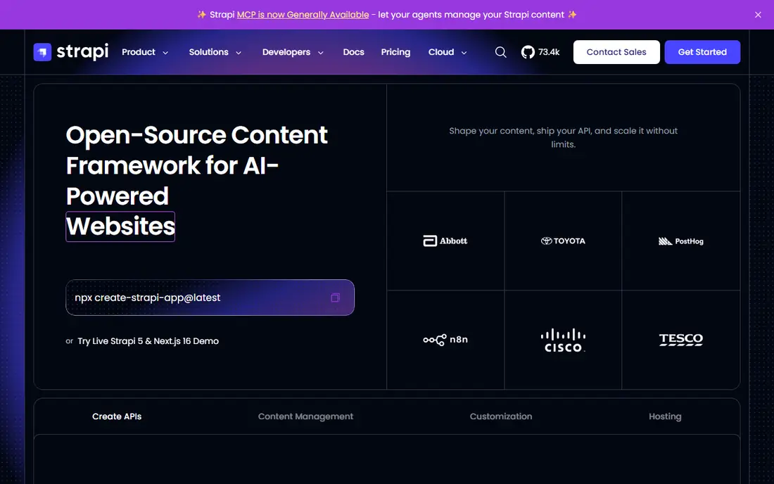 Strapi homepage