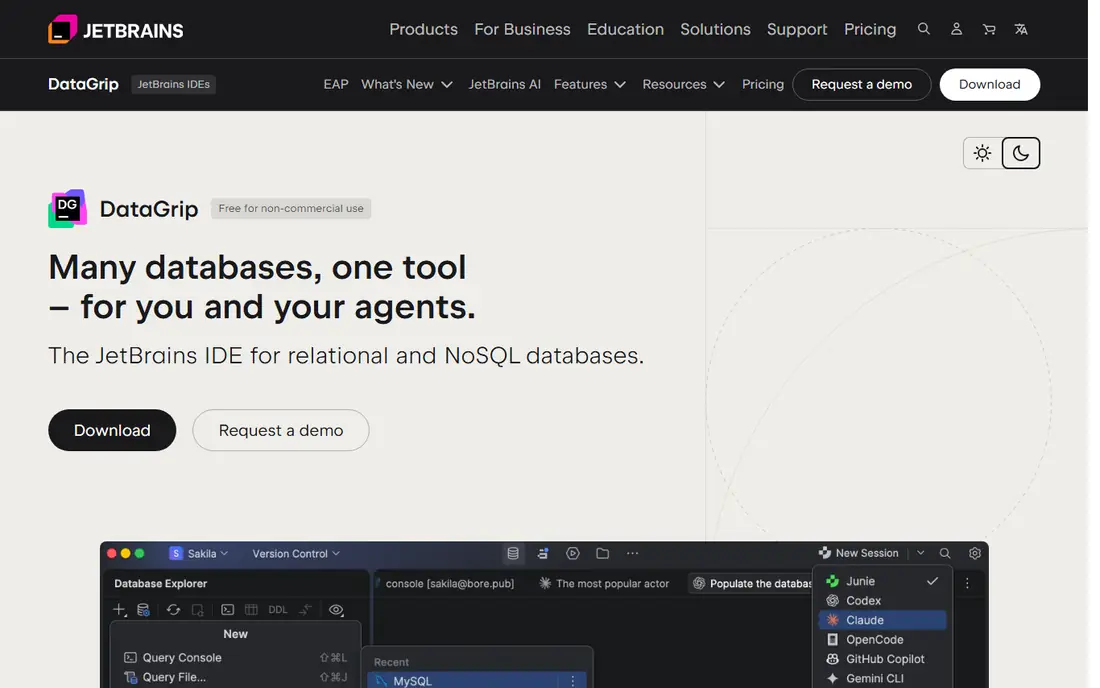 DataGrip homepage