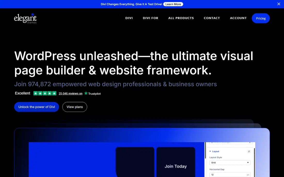 Divi homepage