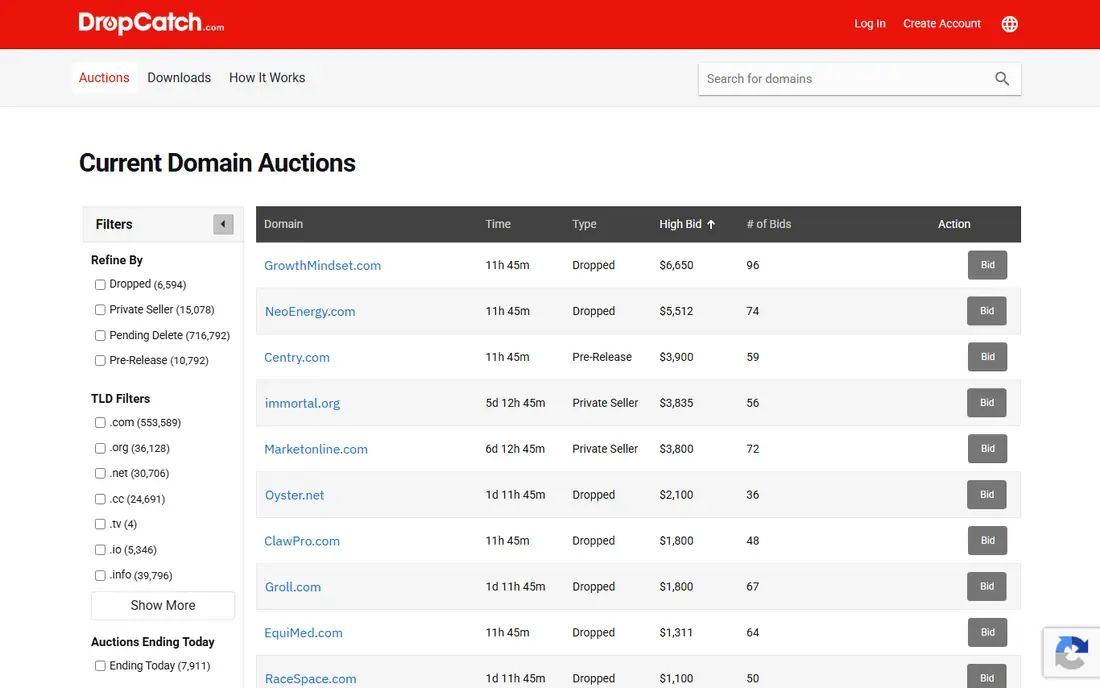 DropCatch homepage
