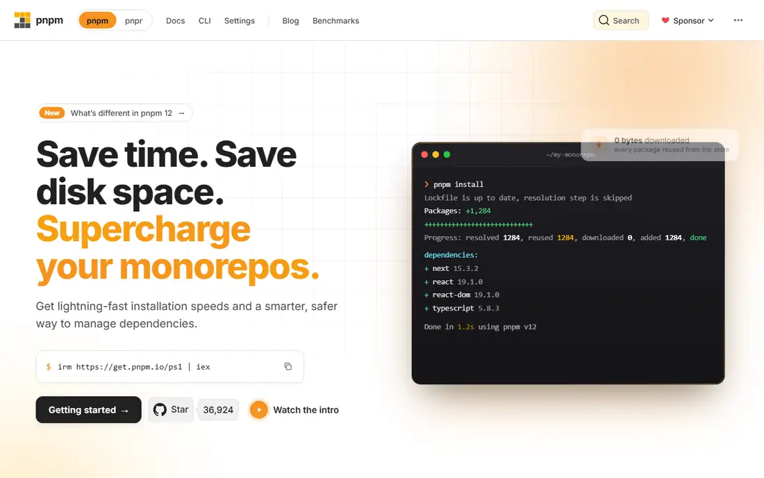 pnpm homepage