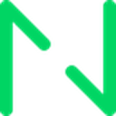 Netguru logo