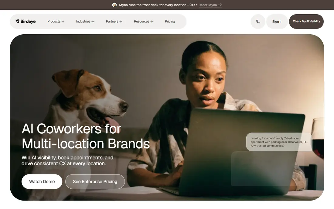 Birdeye homepage
