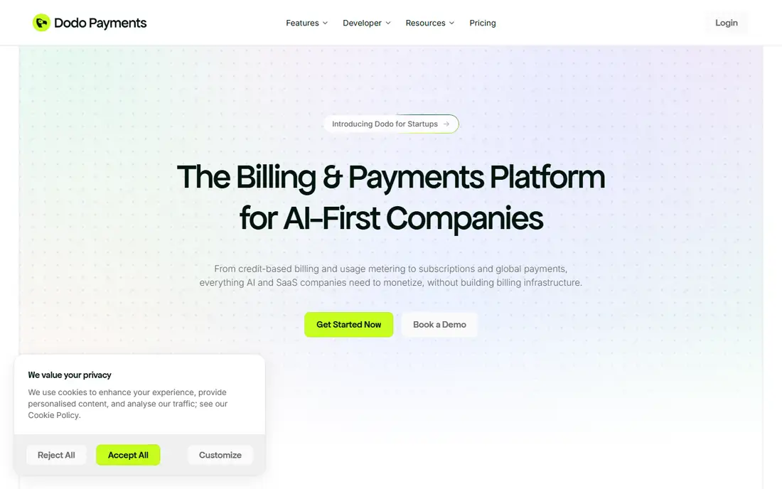 Dodo Payments homepage